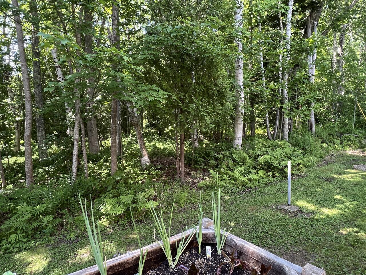 33 Sea View Drive Lincolnville ME 04849