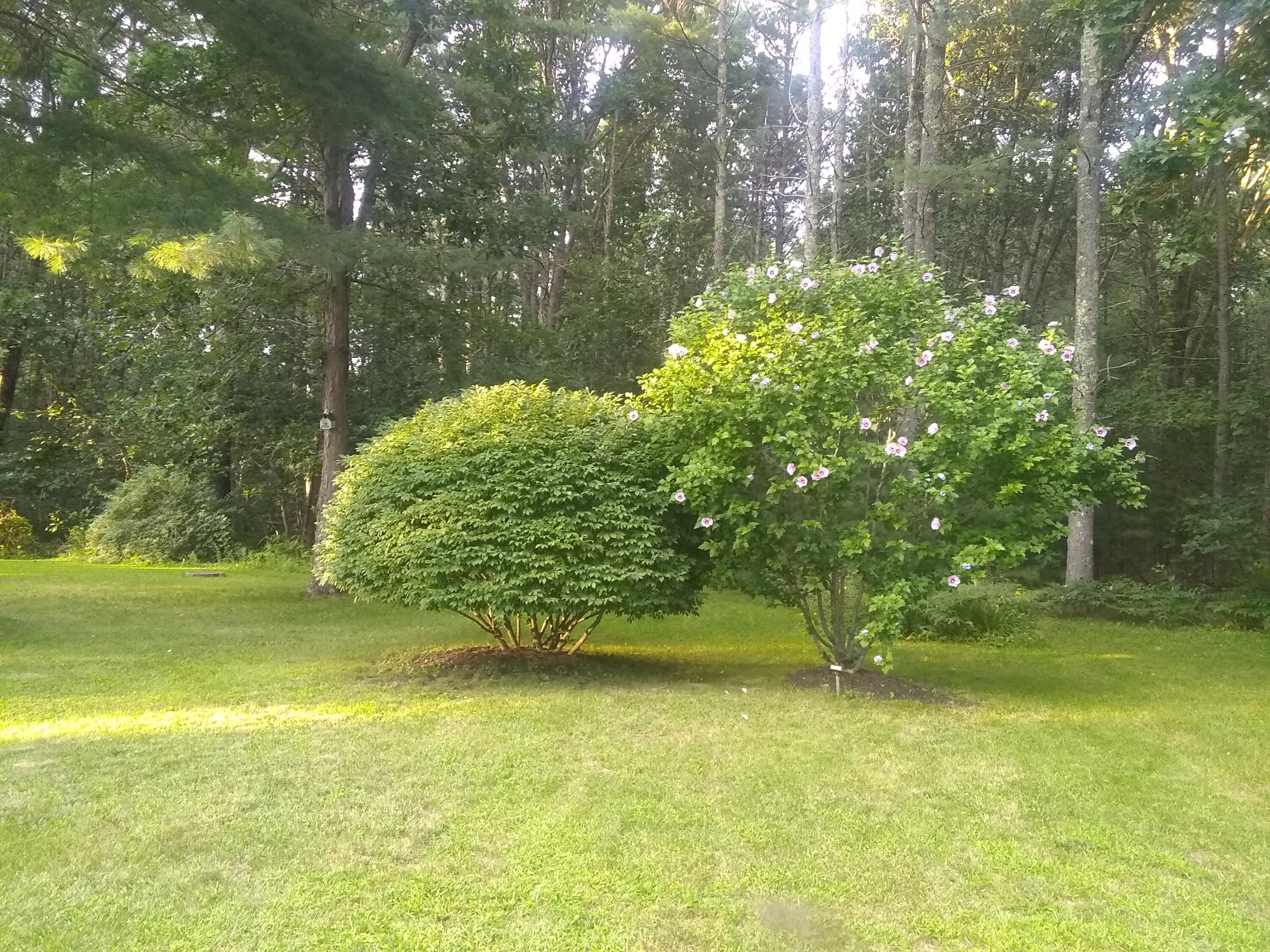 6 Sylvan Path Alfred ME 04002