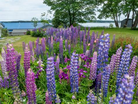 151 Water Street Eastport ME 04631