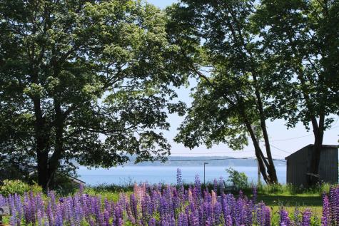 151 Water Street Eastport ME 04631