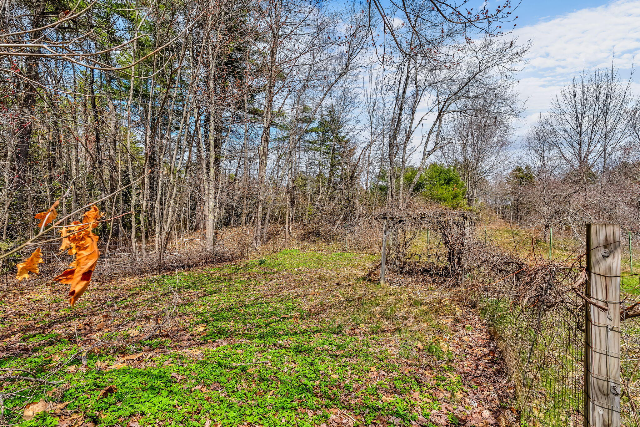 43 York Road Minot ME 04258