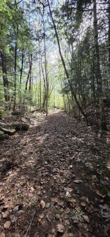 1261 Turkey Tail Road T4 Indian Purchase Twp ME 04462