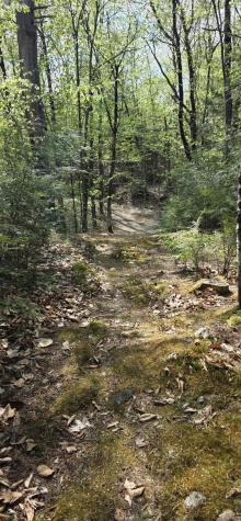 1261 Turkey Tail Road T4 Indian Purchase Twp ME 04462