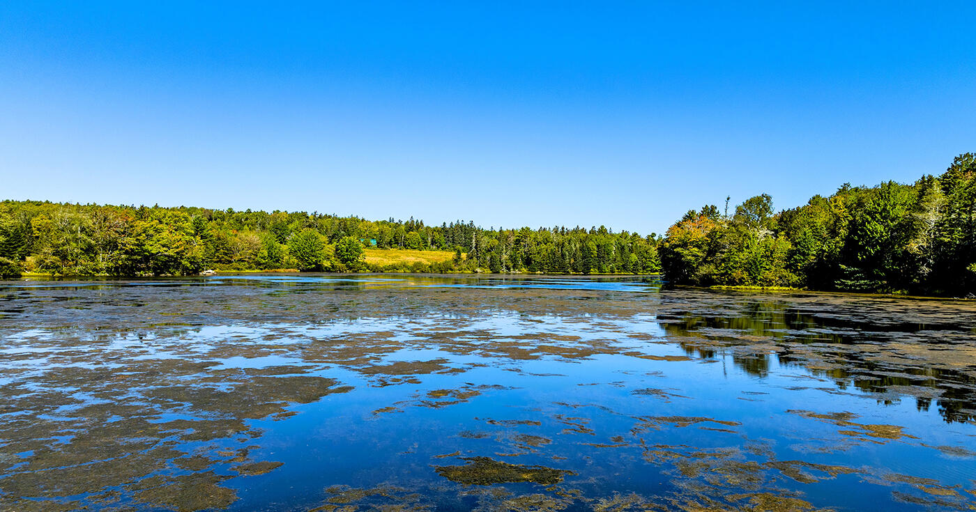 56 Raccoon Road Cushing ME 04563