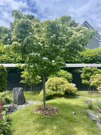 1 Spear Avenue Eastport ME 04631