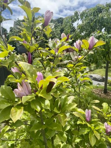 1 Spear Avenue Eastport ME 04631