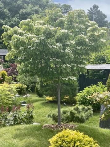 1 Spear Avenue Eastport ME 04631