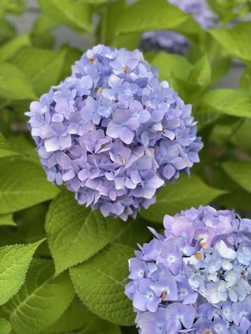 1 Spear Avenue Eastport ME 04631