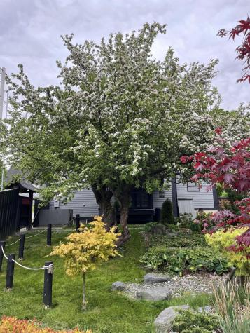 1 Spear Avenue Eastport ME 04631