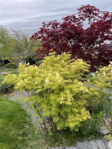 1 Spear Avenue Eastport ME 04631