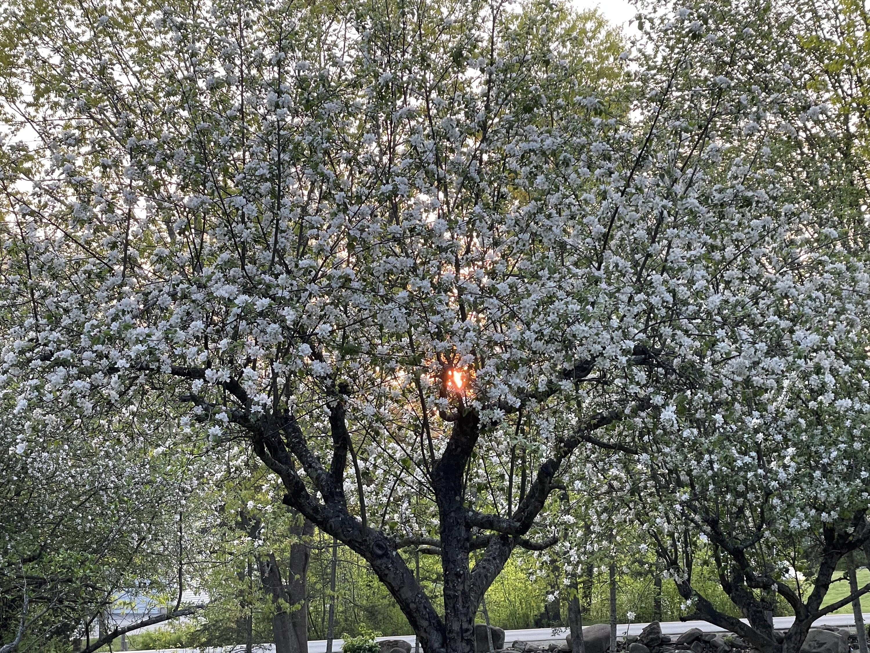 415 Monroe Road Hampden ME 04444