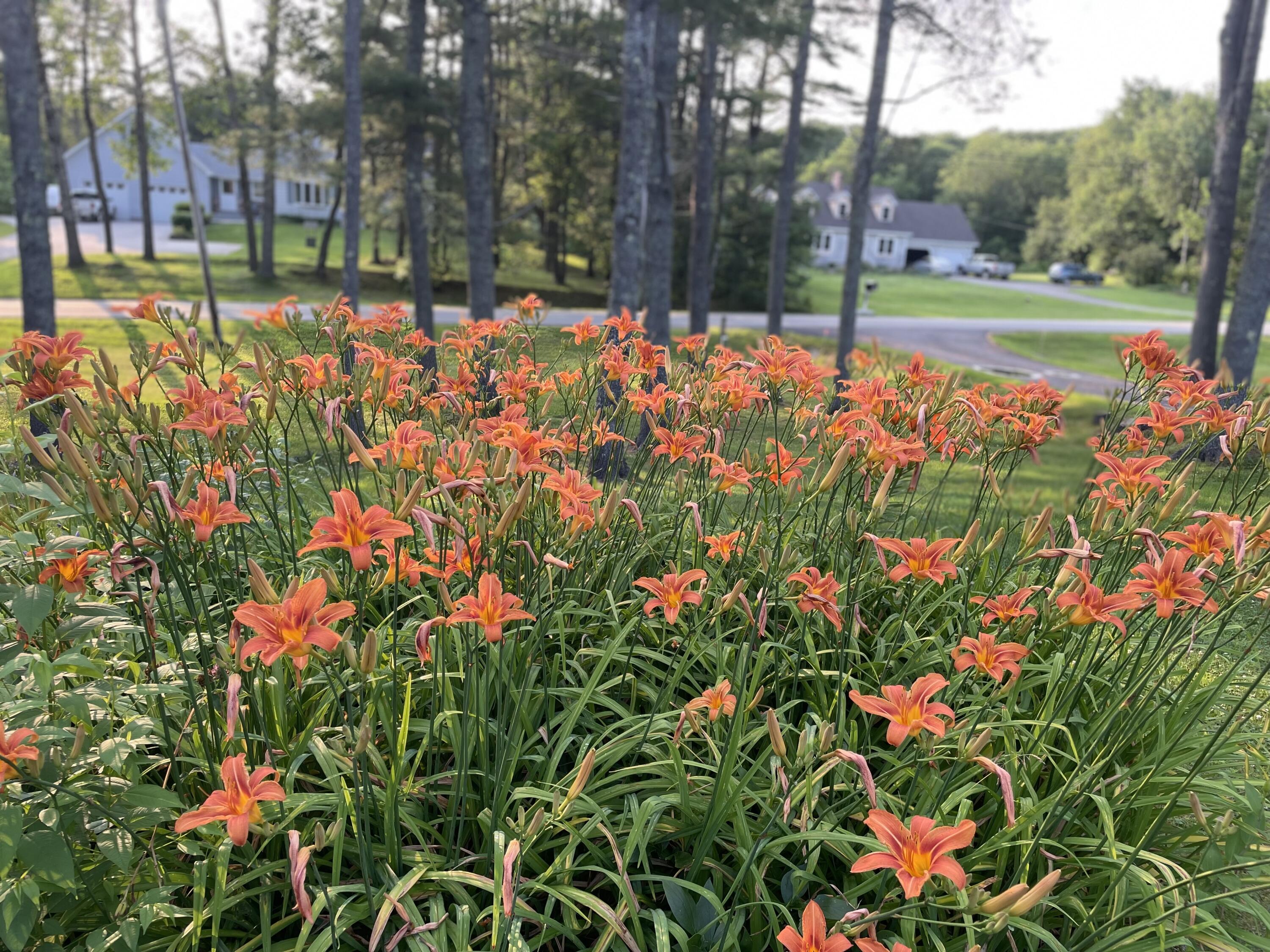 415 Monroe Road Hampden ME 04444