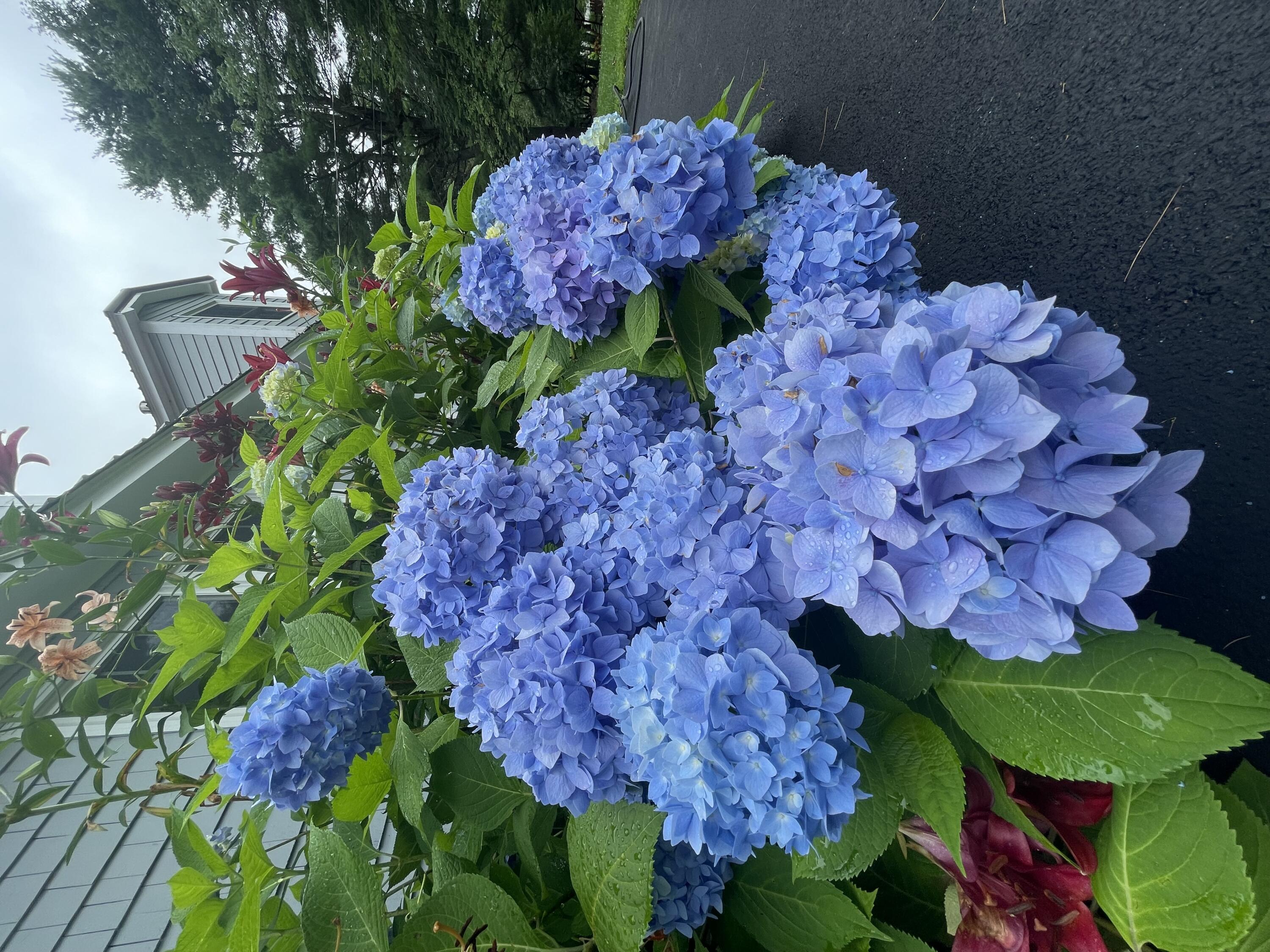 415 Monroe Road Hampden ME 04444