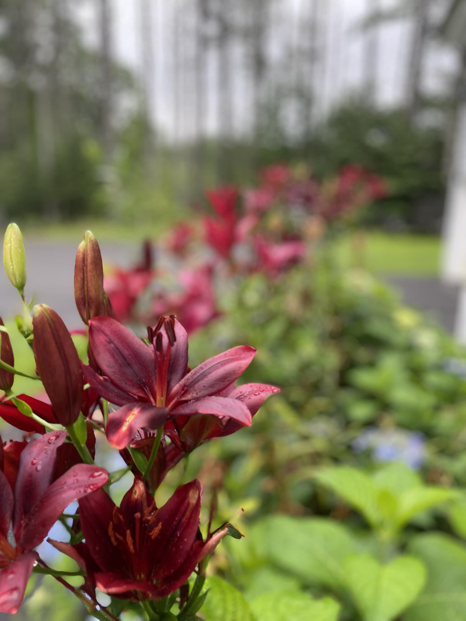 415 Monroe Road Hampden ME 04444