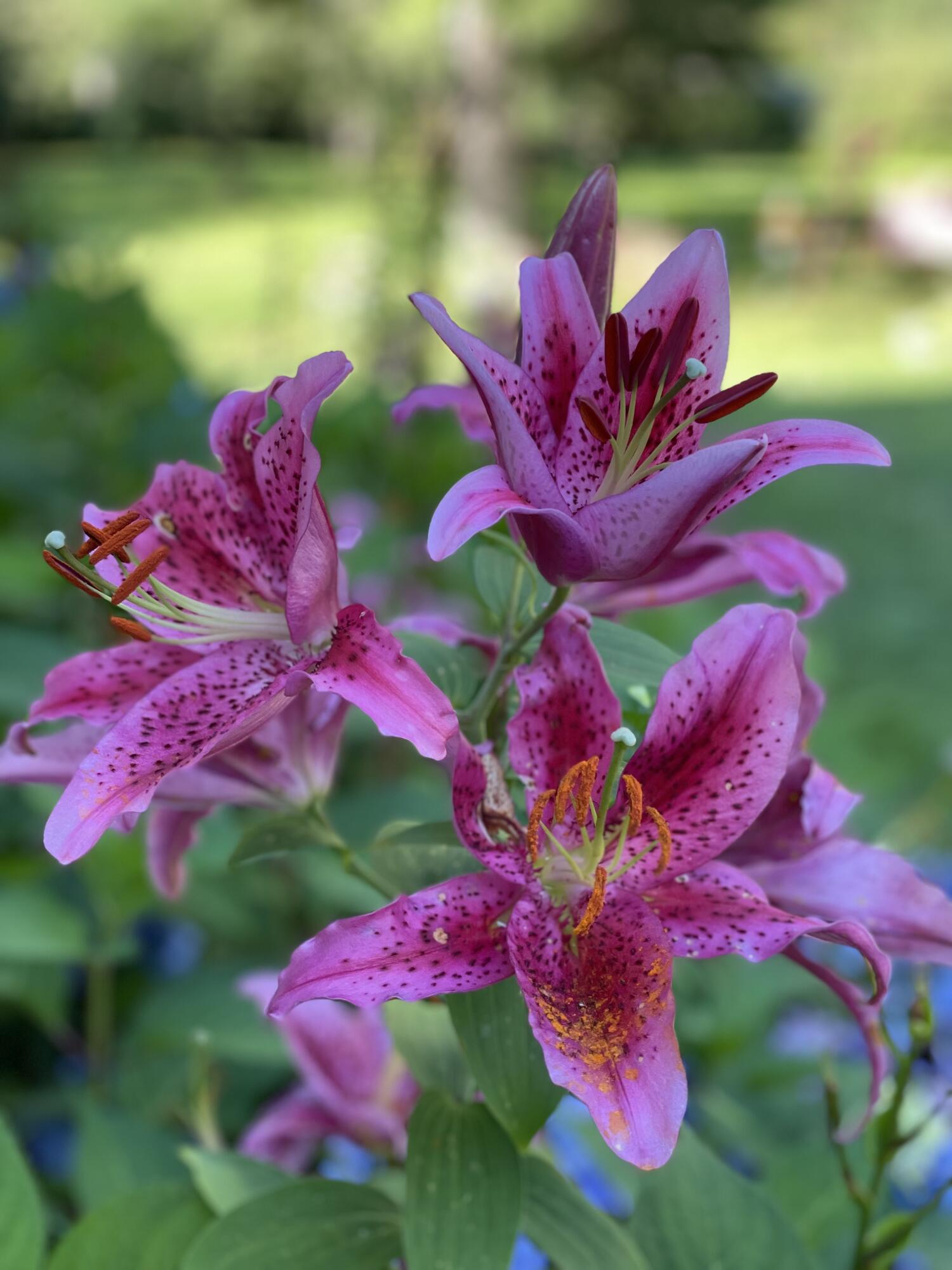 415 Monroe Road Hampden ME 04444