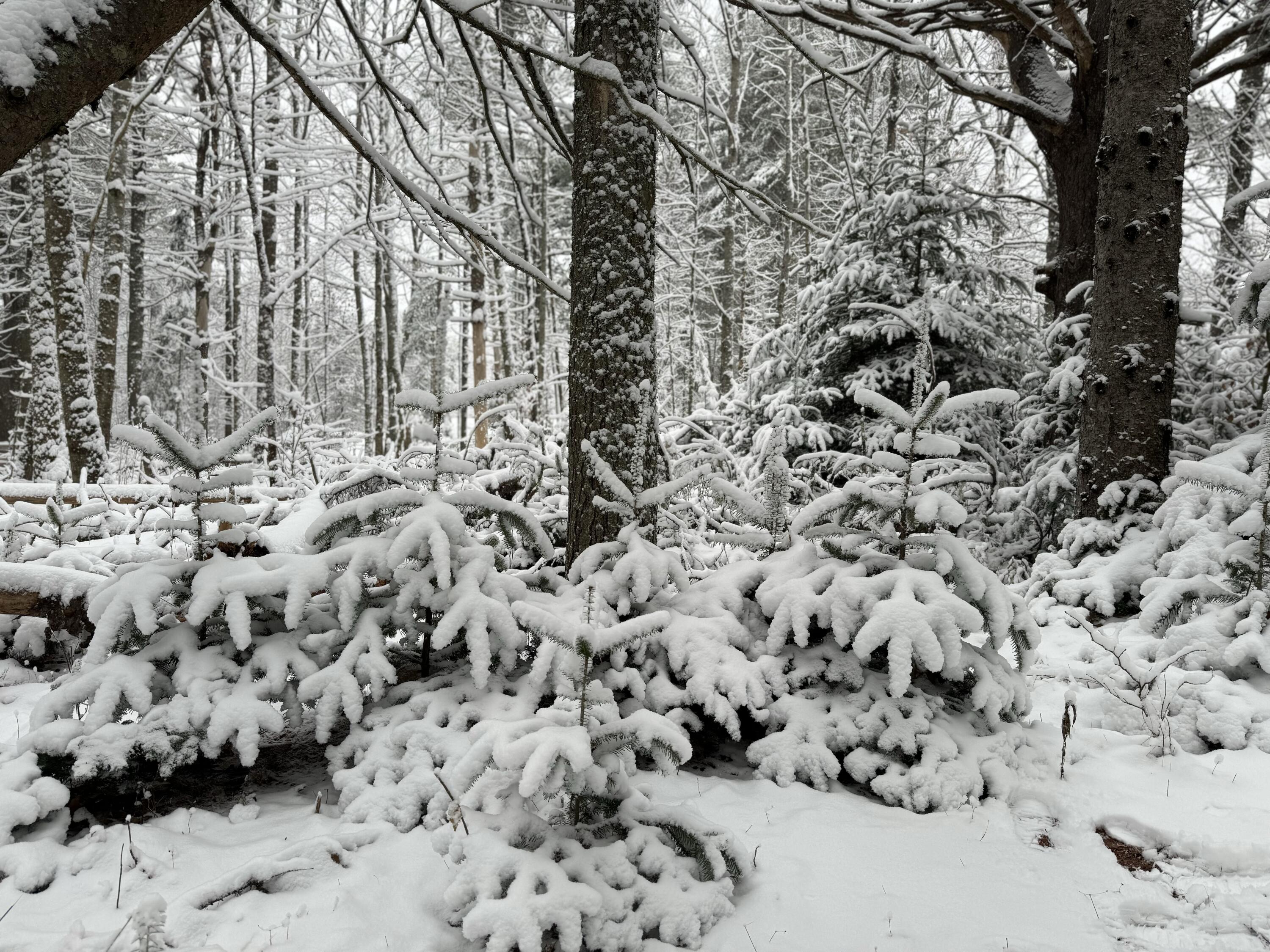 415 Monroe Road Hampden ME 04444