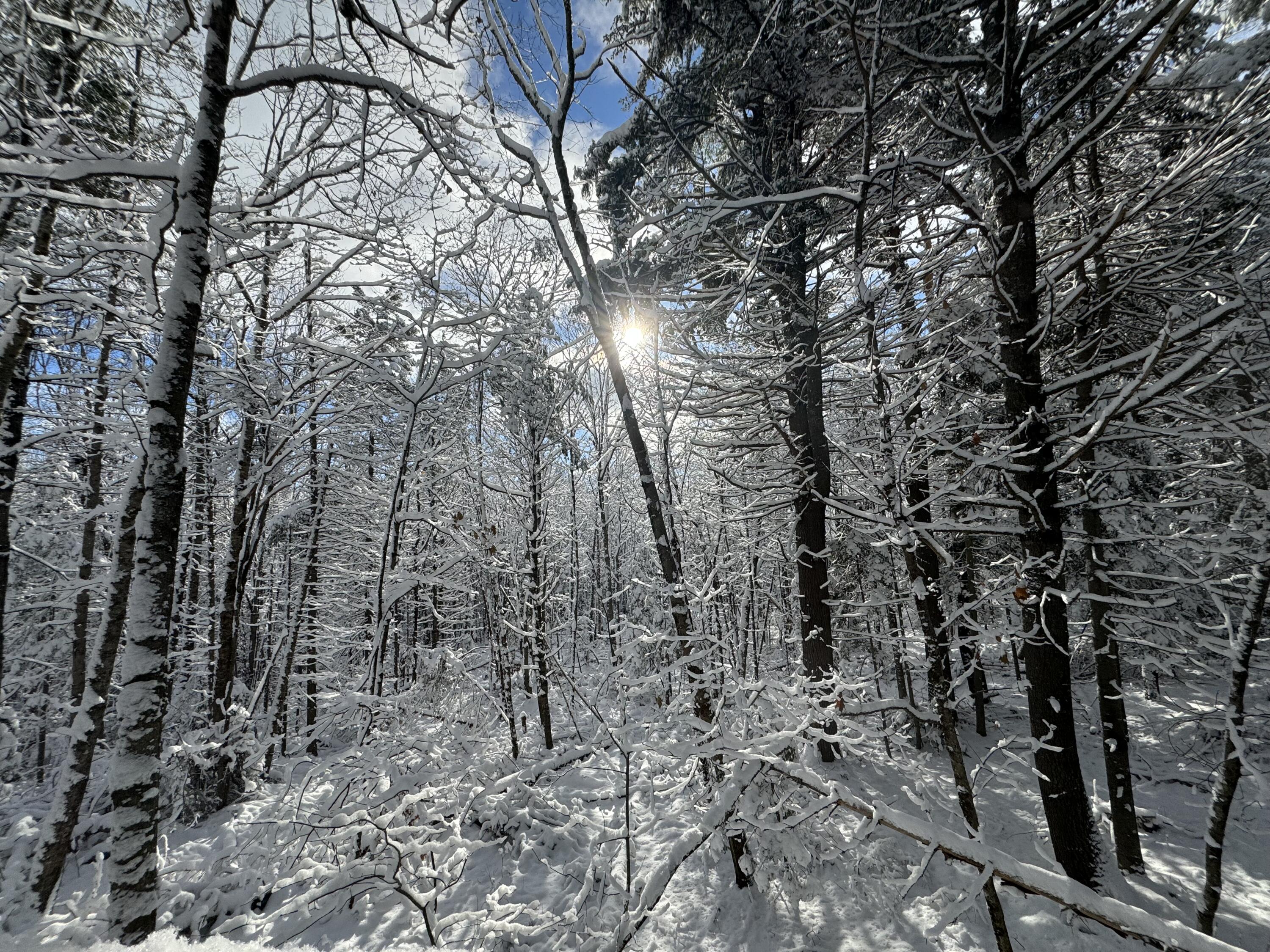 415 Monroe Road Hampden ME 04444