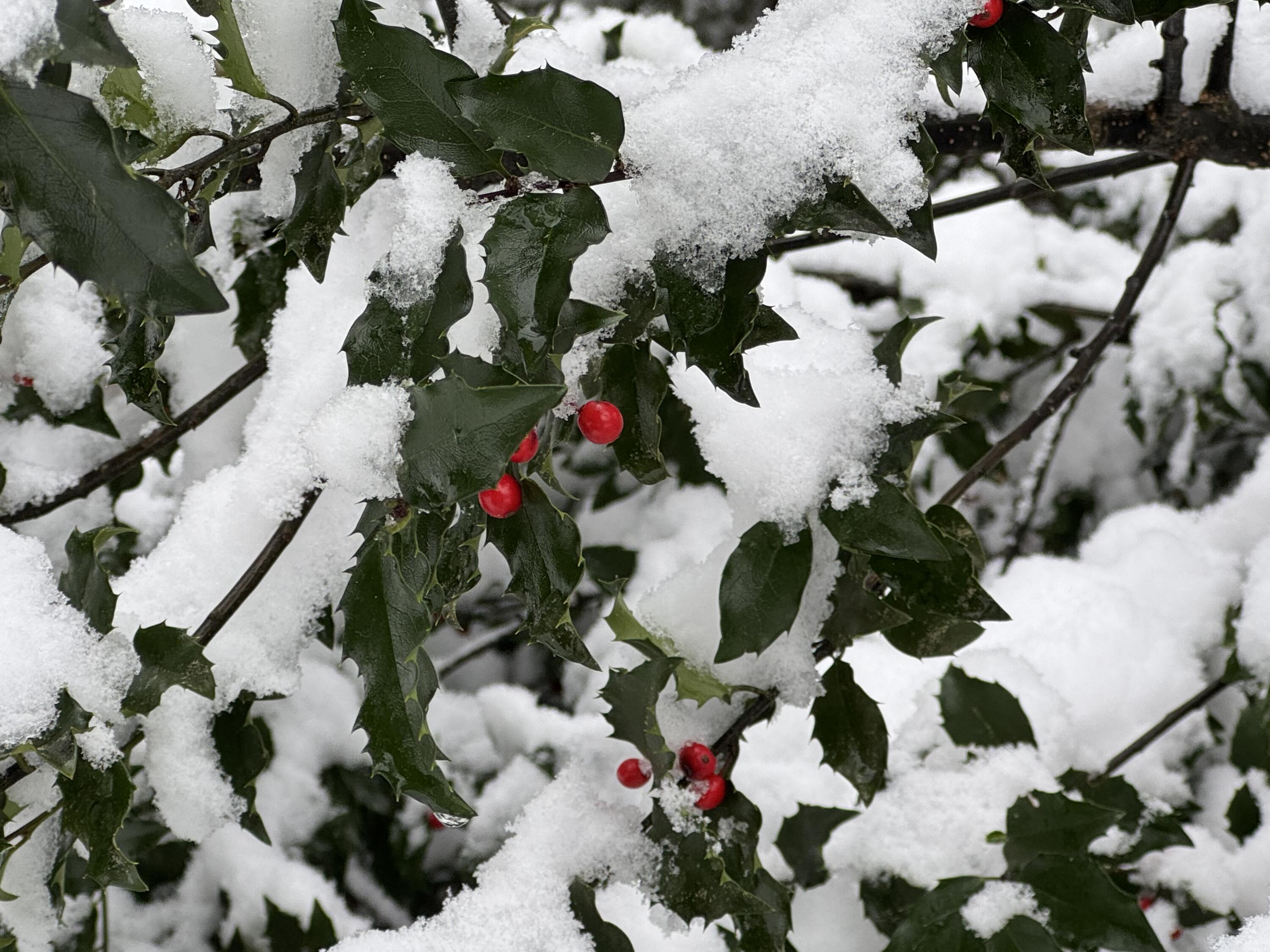 415 Monroe Road Hampden ME 04444