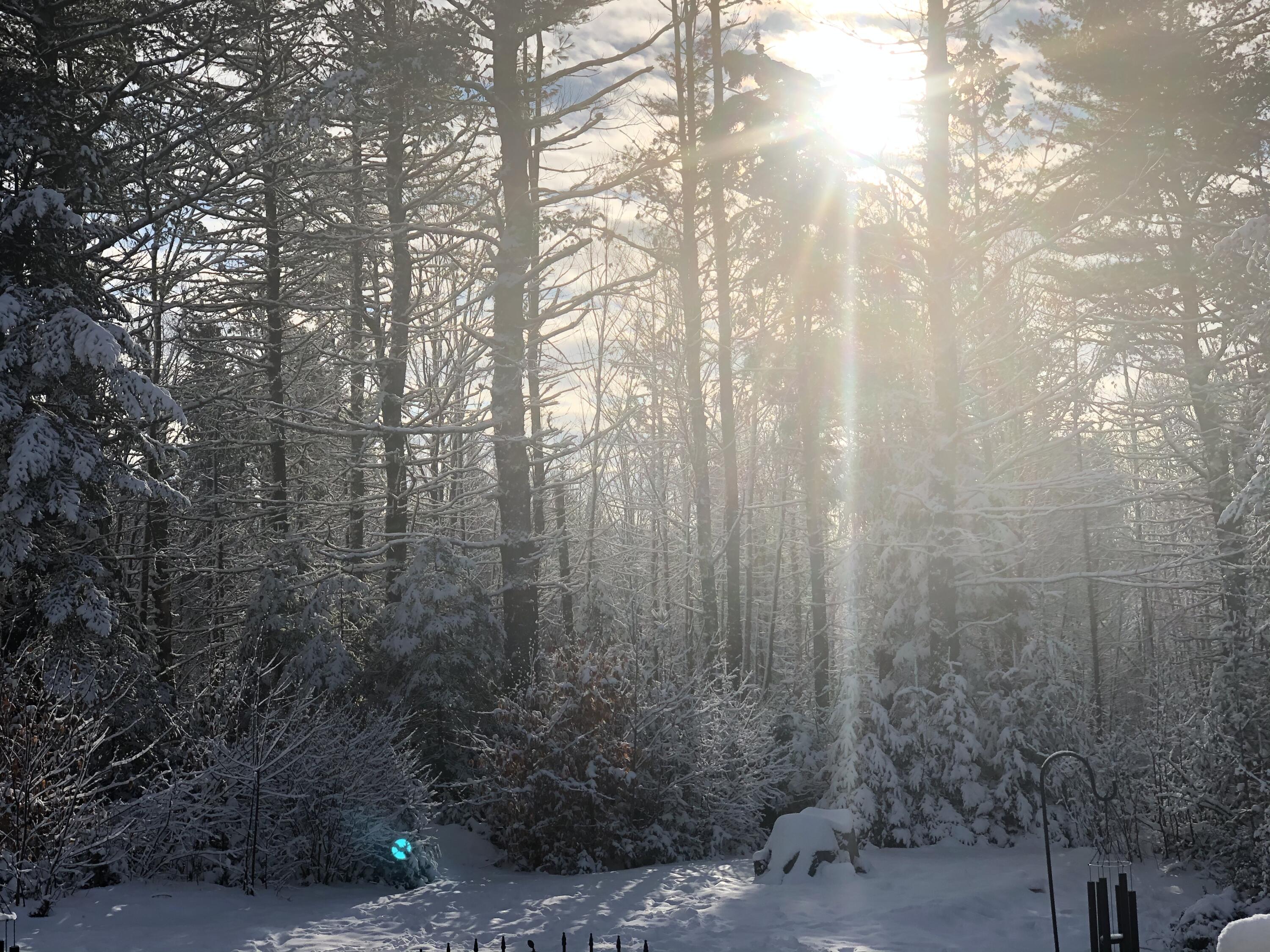 415 Monroe Road Hampden ME 04444