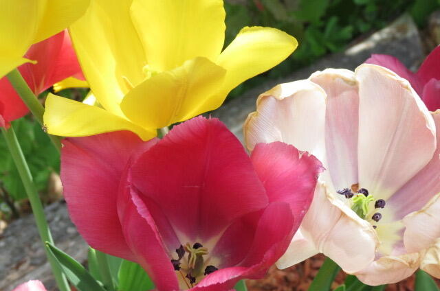 415 Monroe Road Hampden ME 04444