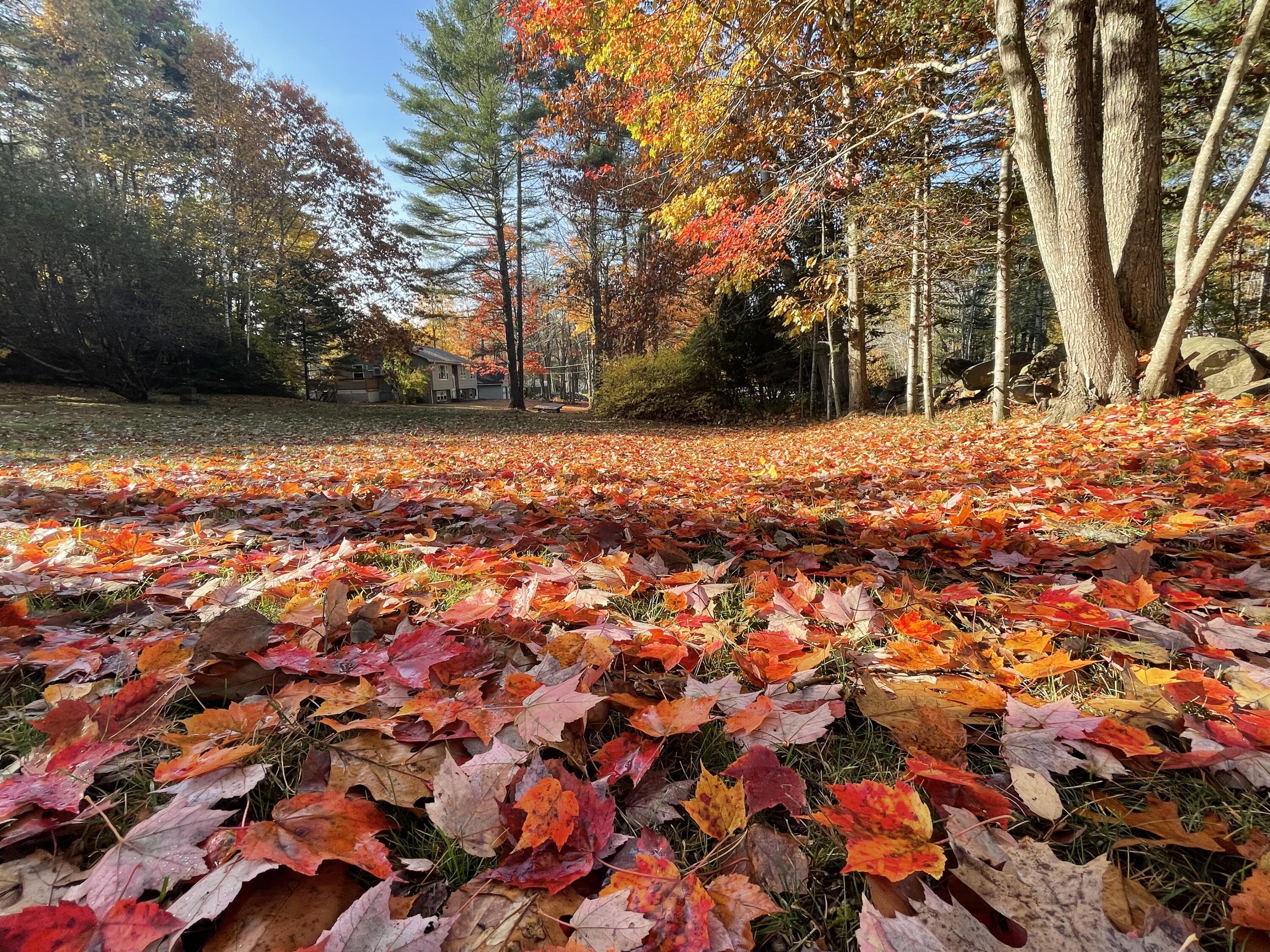 415 Monroe Road Hampden ME 04444