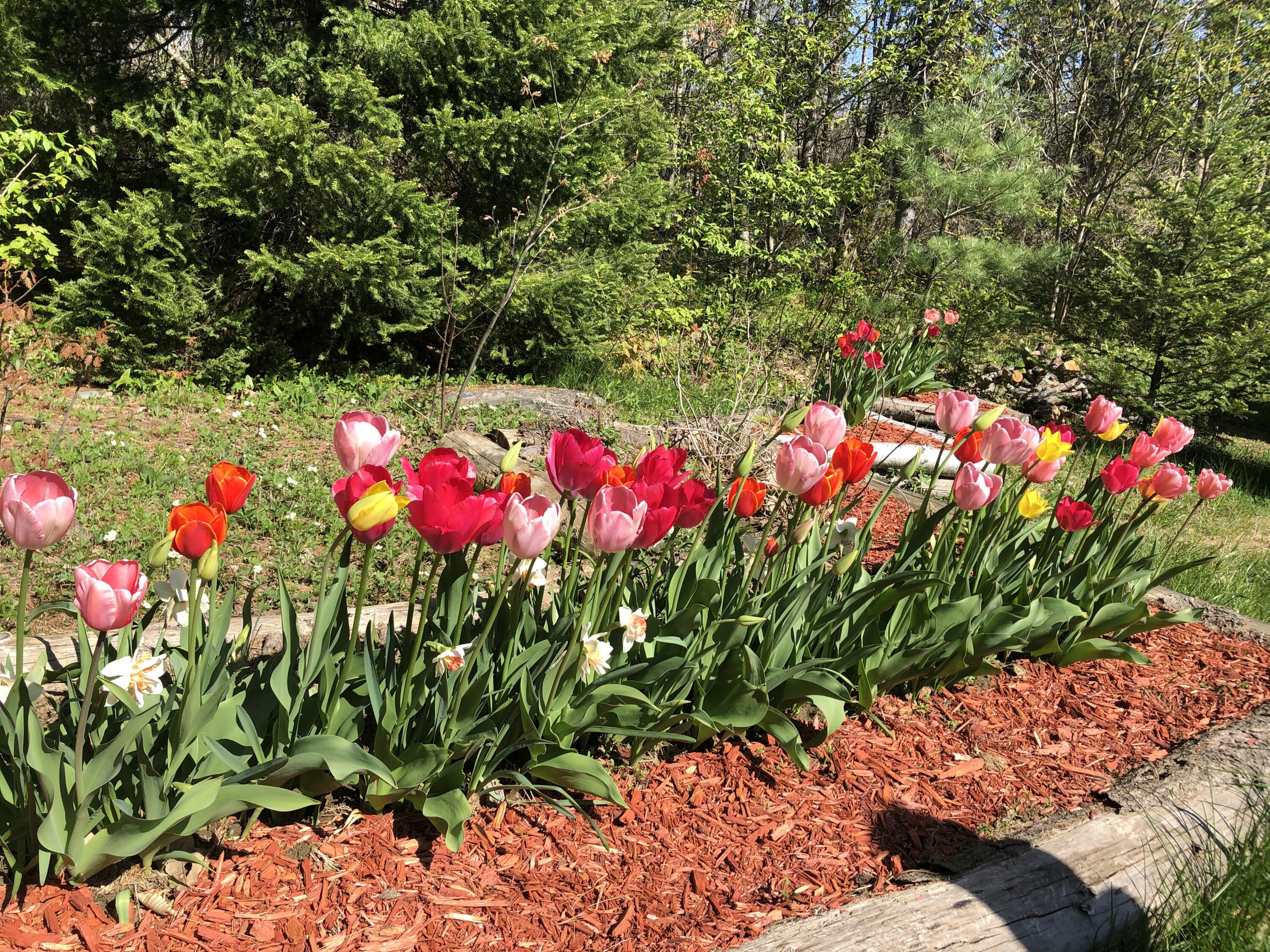 415 Monroe Road Hampden ME 04444