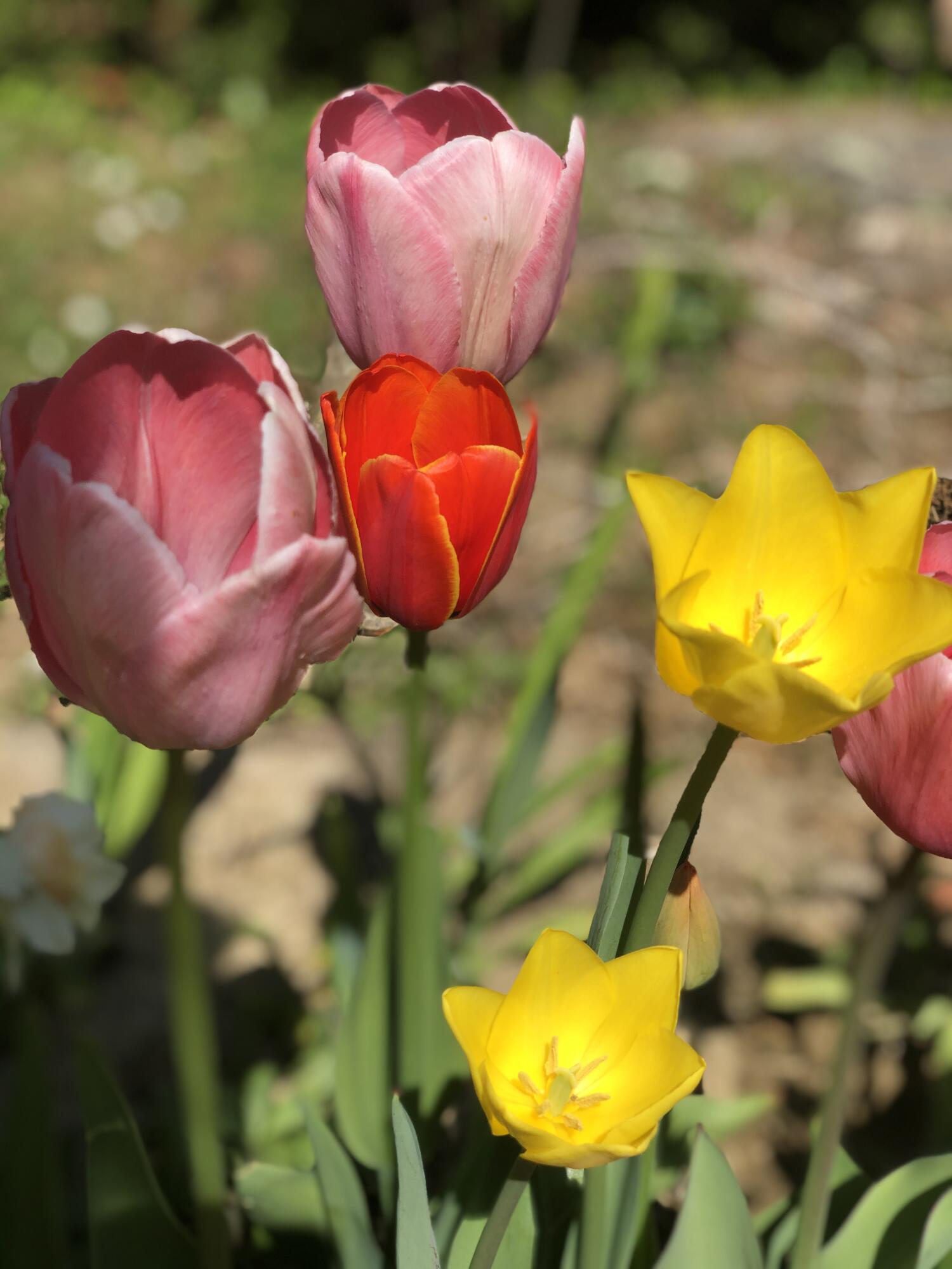 415 Monroe Road Hampden ME 04444