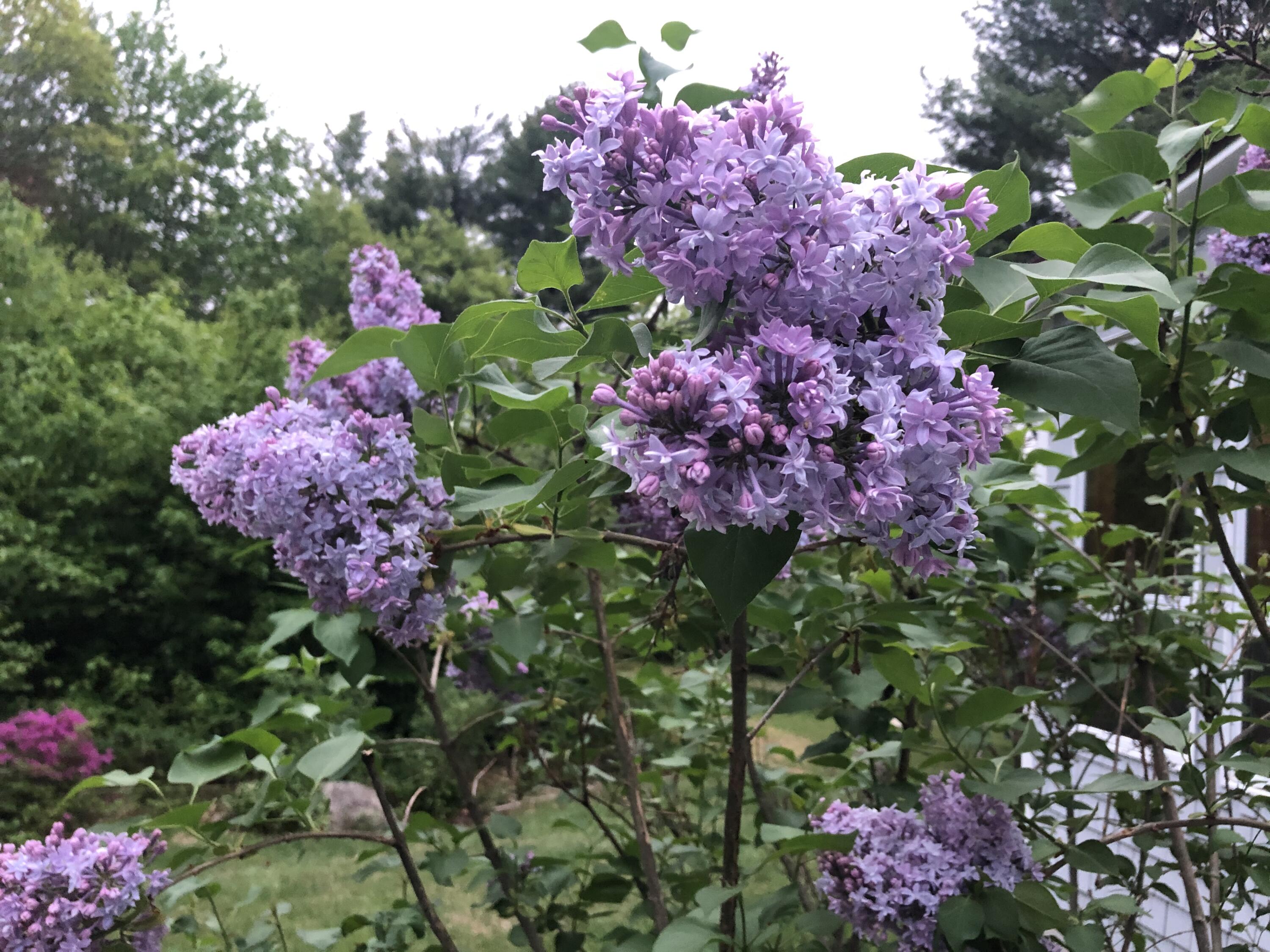 415 Monroe Road Hampden ME 04444