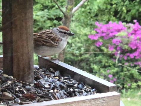 415 Monroe Road Hampden ME 04444