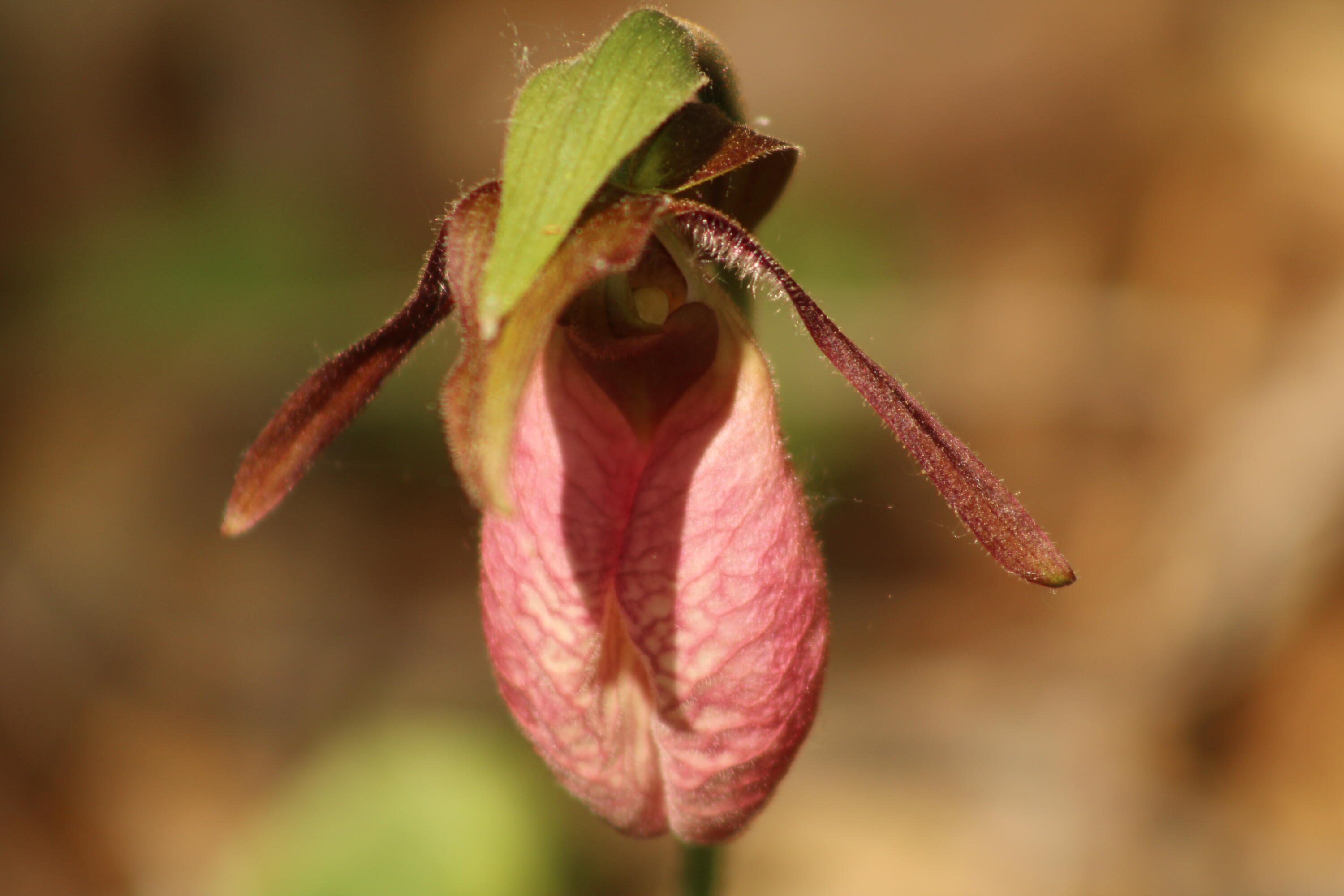 415 Monroe Road Hampden ME 04444