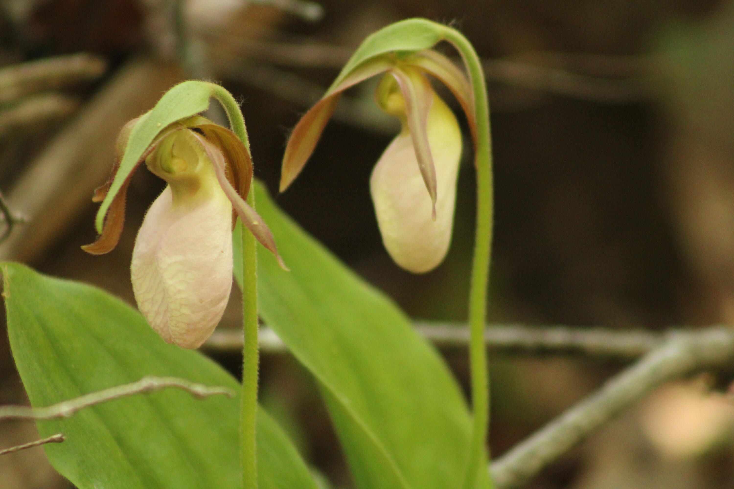 415 Monroe Road Hampden ME 04444