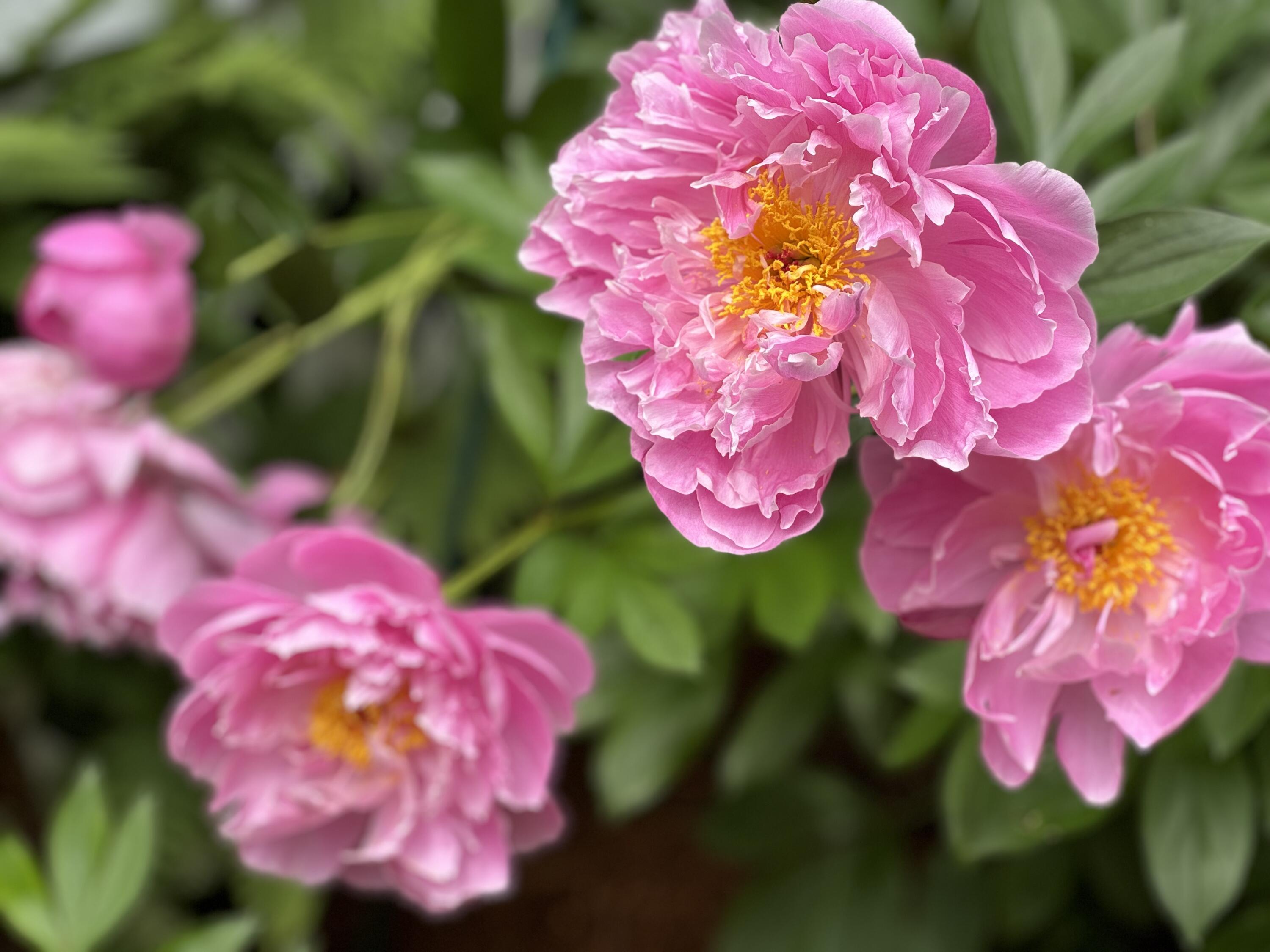 415 Monroe Road Hampden ME 04444