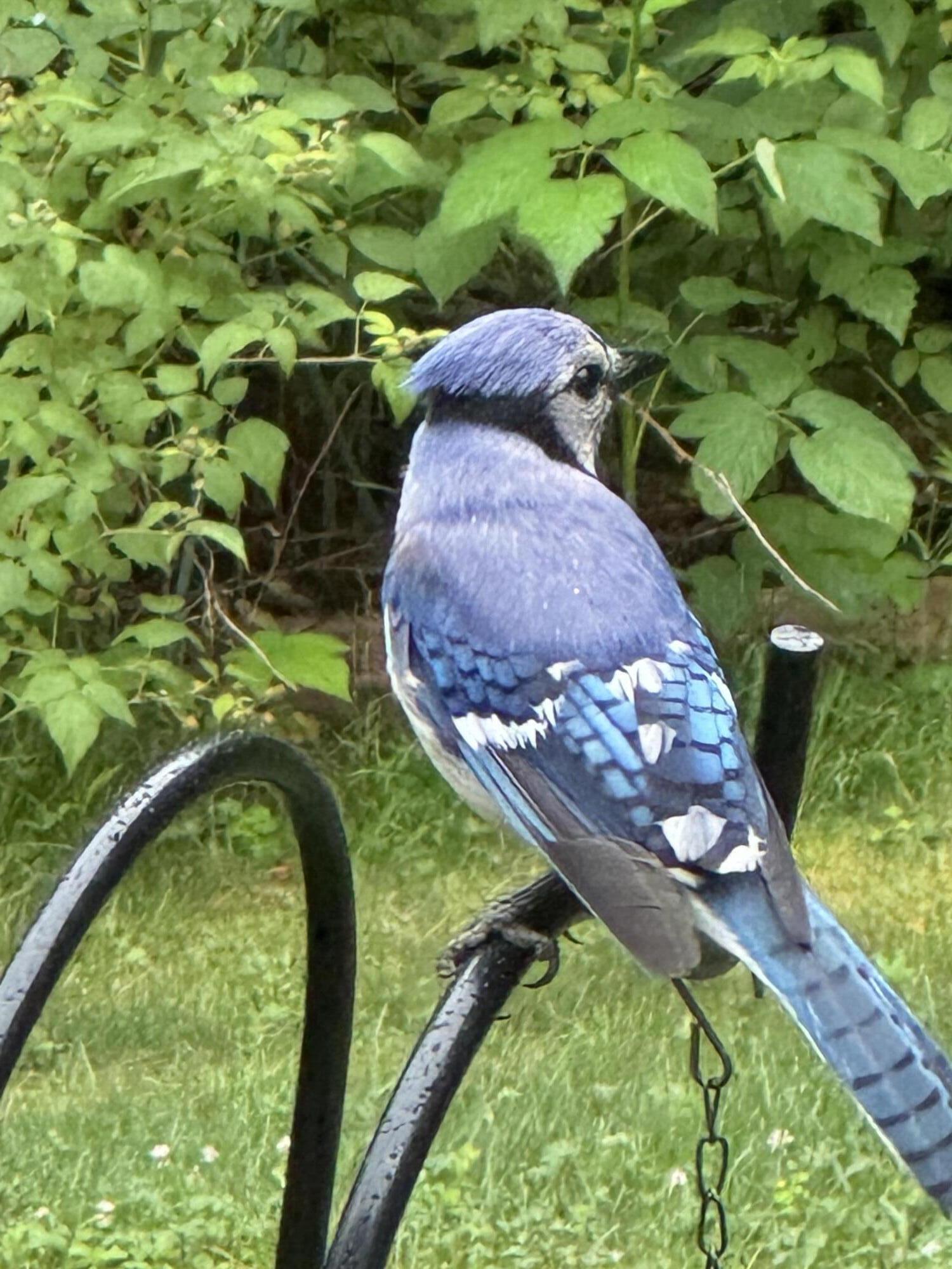 415 Monroe Road Hampden ME 04444