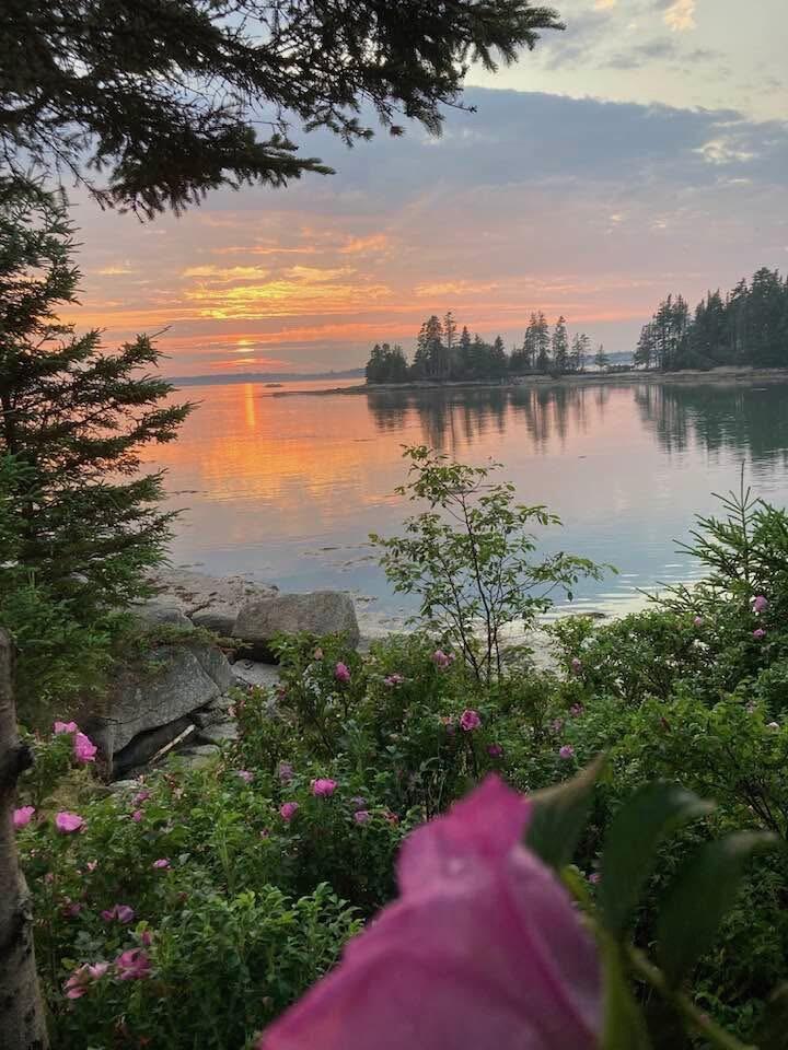 86 Mill Pond Road Beals ME 04611