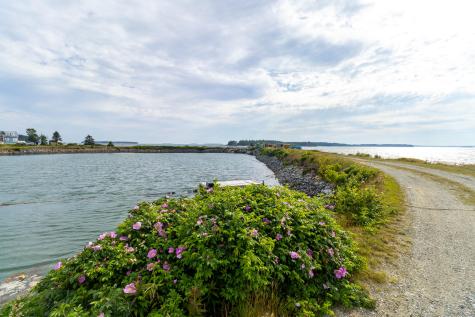 86 Mill Pond Road Beals ME 04611