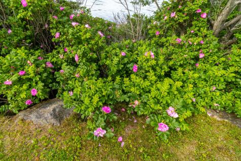 86 Mill Pond Road Beals ME 04611