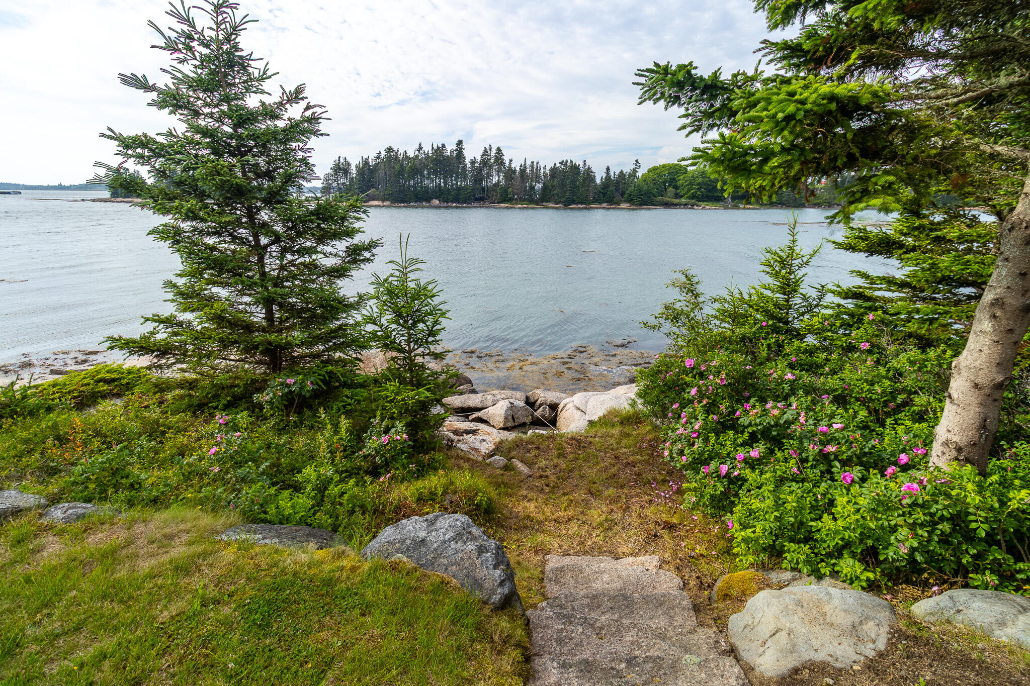 86 Mill Pond Road Beals ME 04611