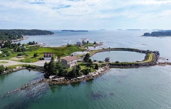 86 Mill Pond Road Beals ME 04611