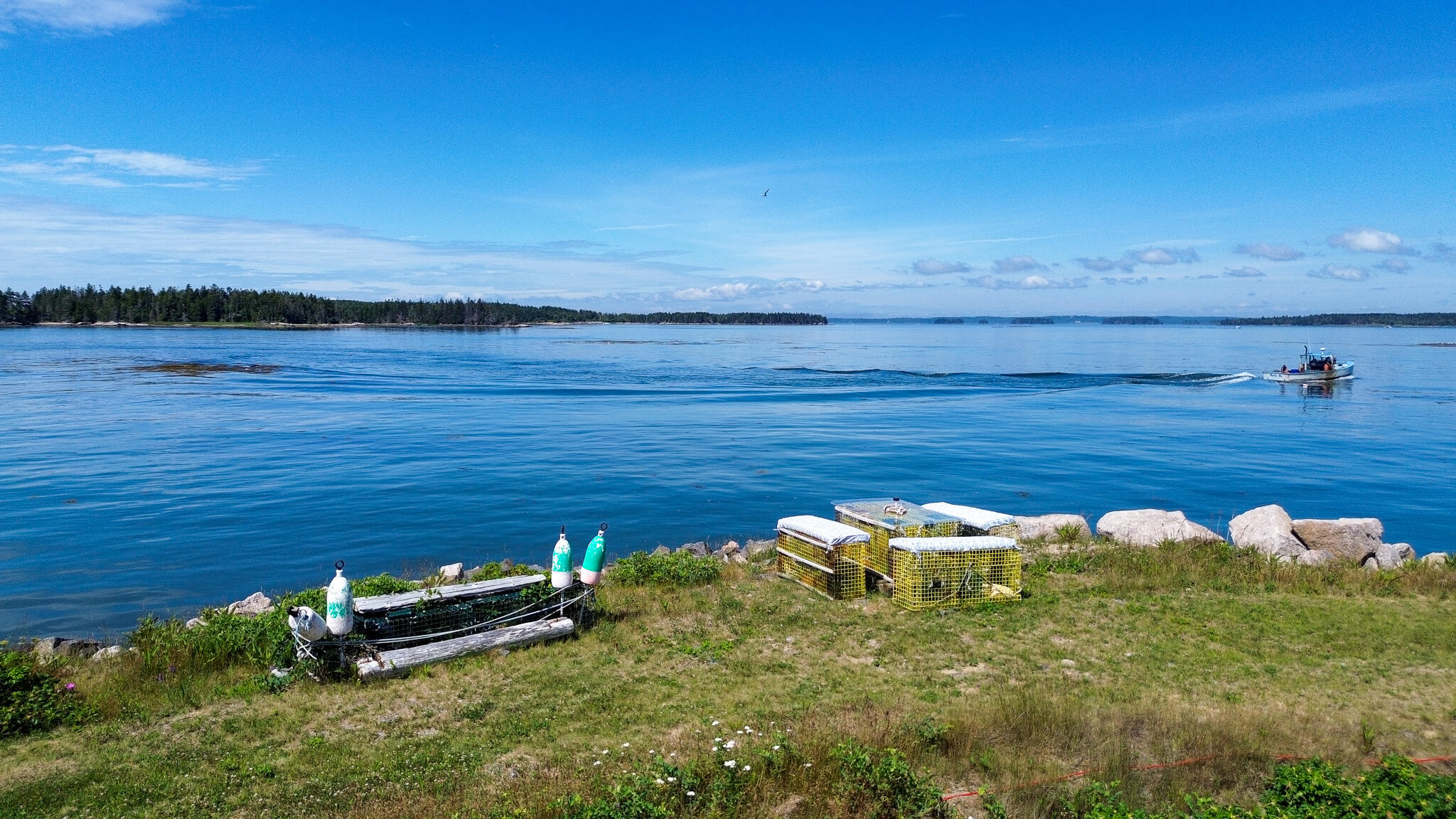 86 Mill Pond Road Beals ME 04611