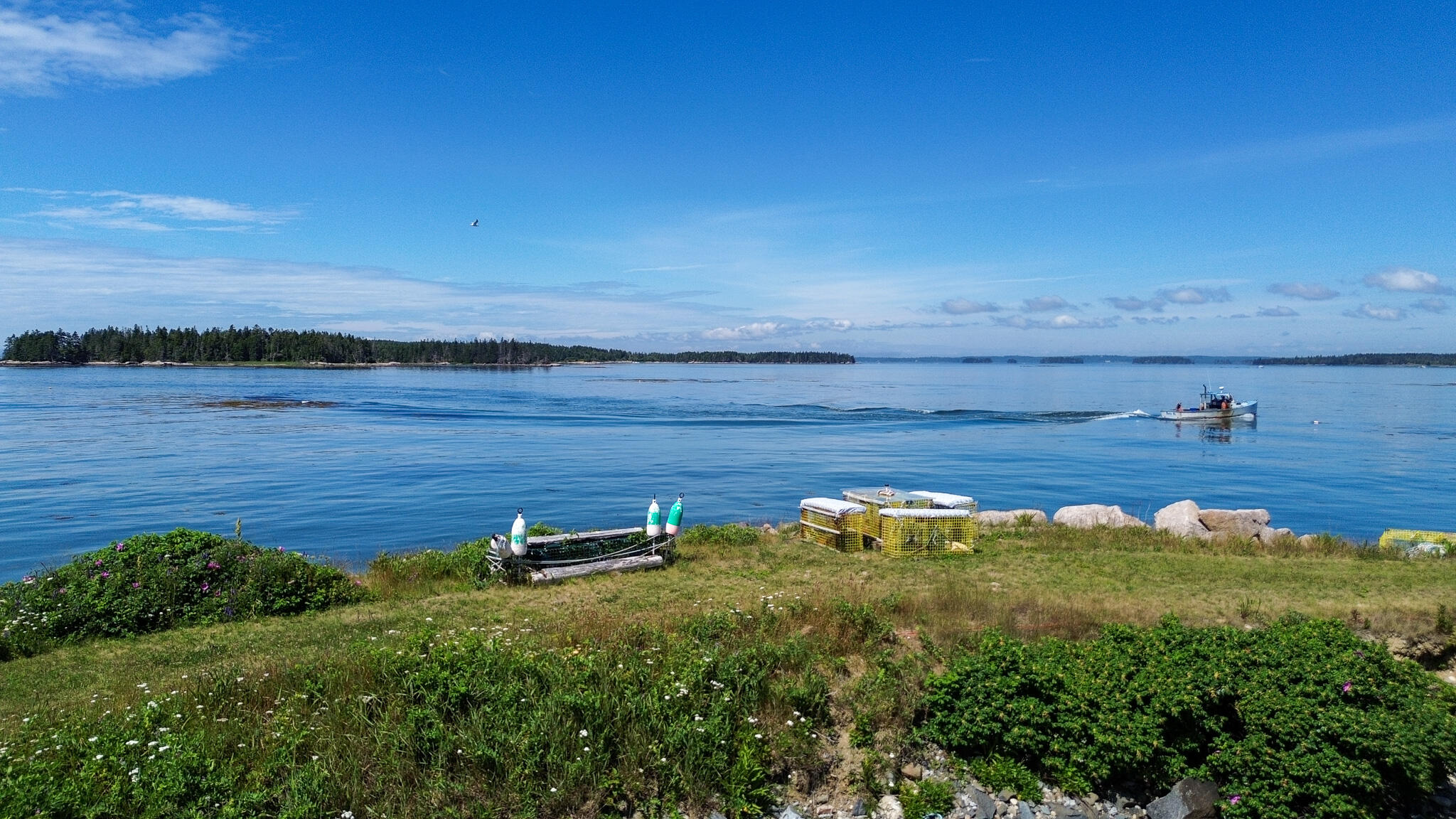 86 Mill Pond Road Beals ME 04611