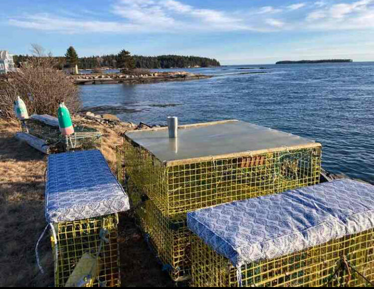 86 Mill Pond Road Beals ME 04611