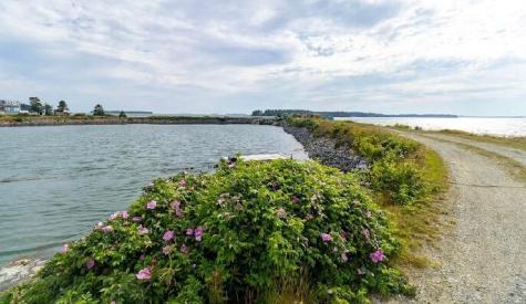 86 Mill Pond Road Beals ME 04611