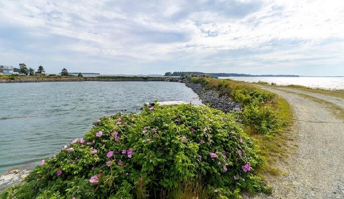 86 Mill Pond Road Beals ME 04611