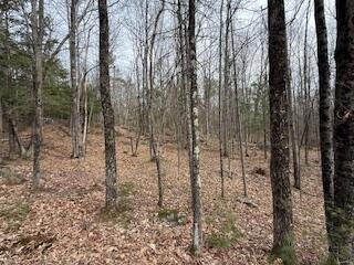 197 Franklin Road Jay ME 04239