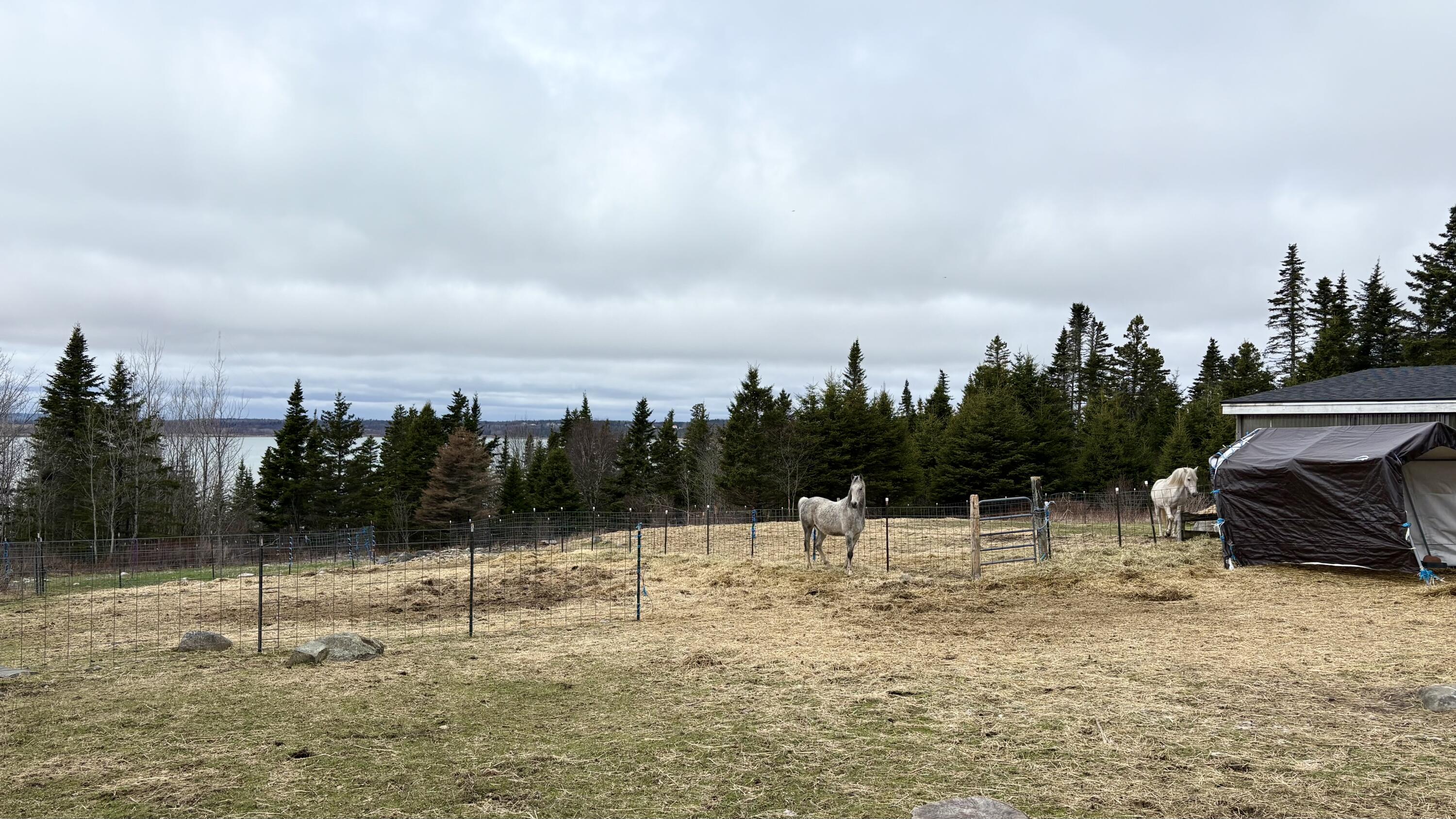 99 Little Machias Road Cutler ME 04626