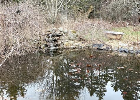 99 Little Machias Road Cutler ME 04626