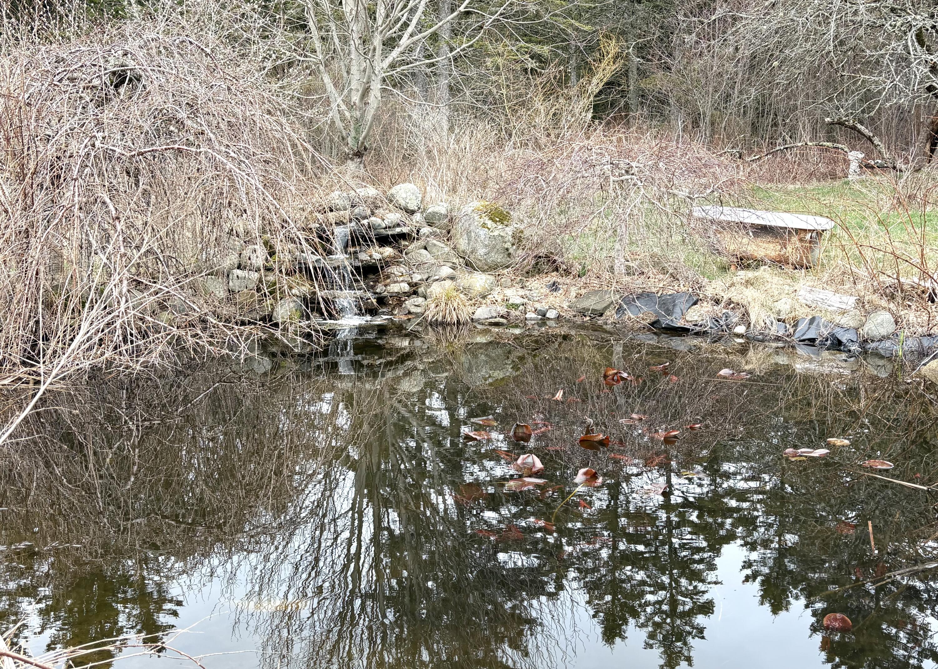 99 Little Machias Road Cutler ME 04626