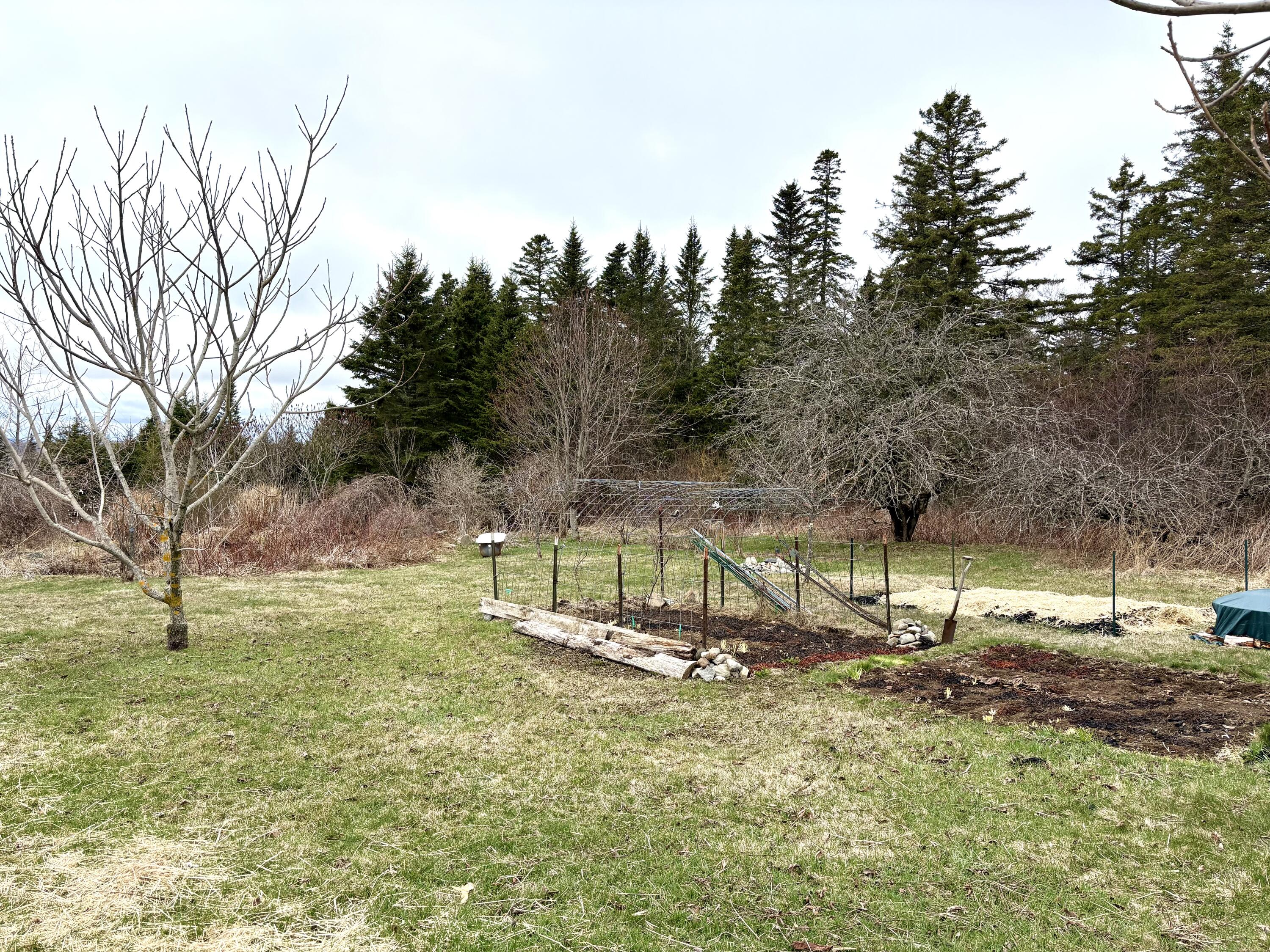 99 Little Machias Road Cutler ME 04626