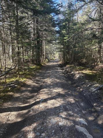 99 Little Machias Road Cutler ME 04626