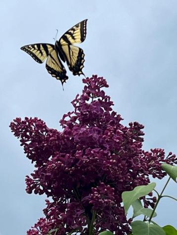 227 Back Road Skowhegan ME 04976